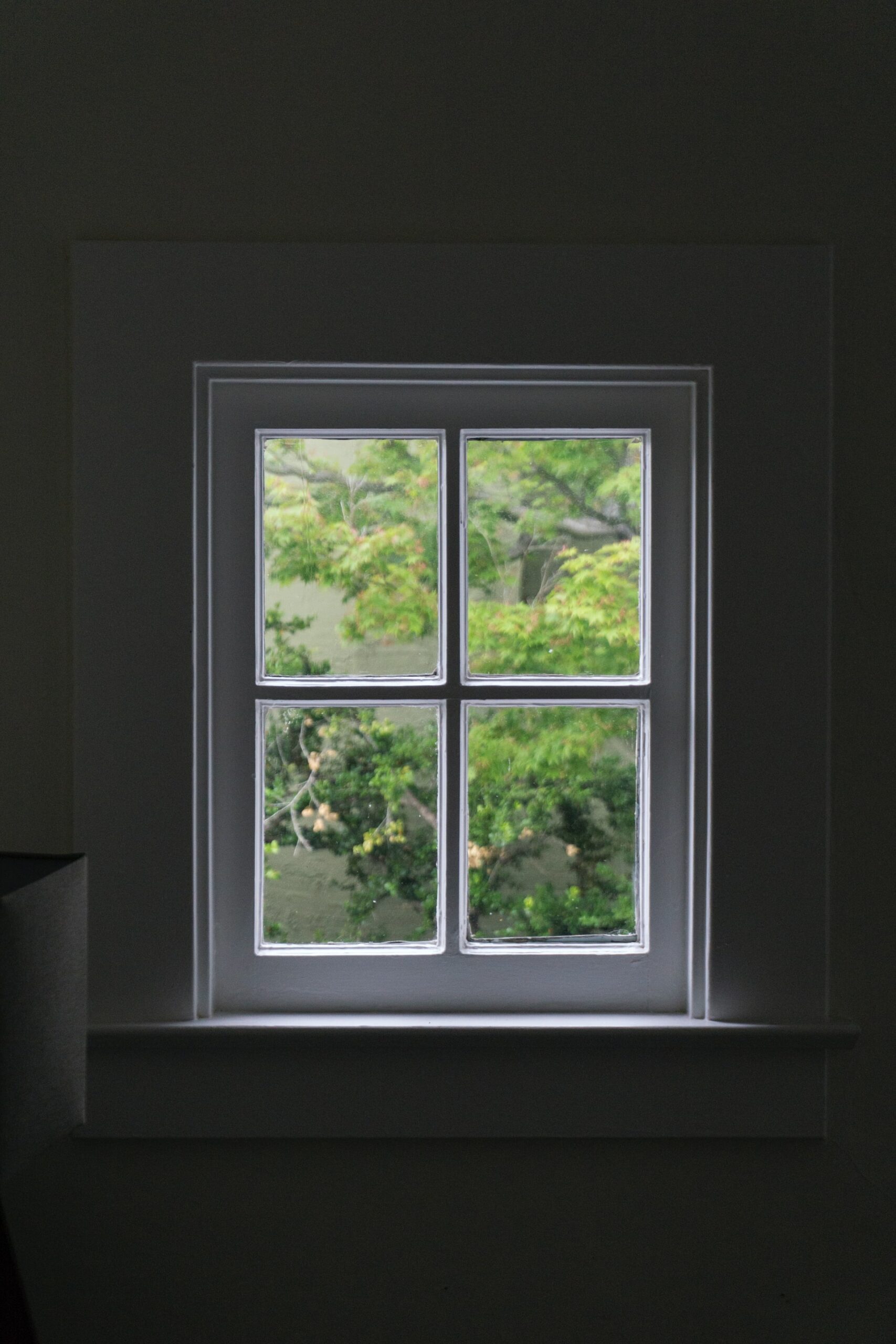 Replacement Window Specialists