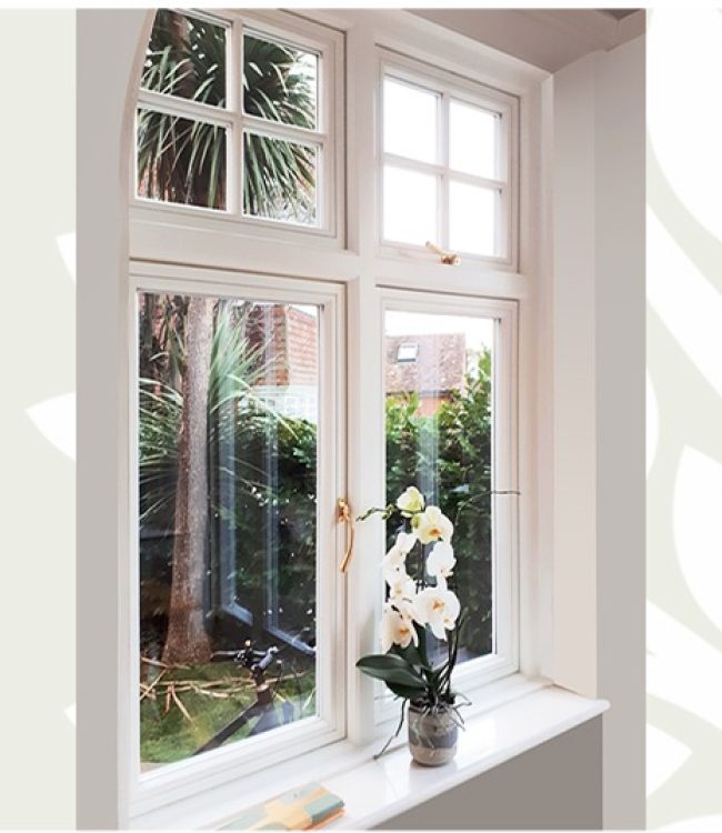 Flower on timber windowsill